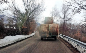Vigili del fuoco ad Amatrice