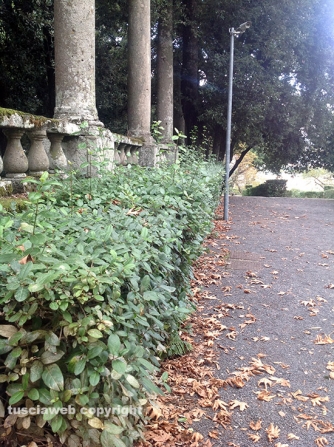 Villa Lante sporca e malridotta