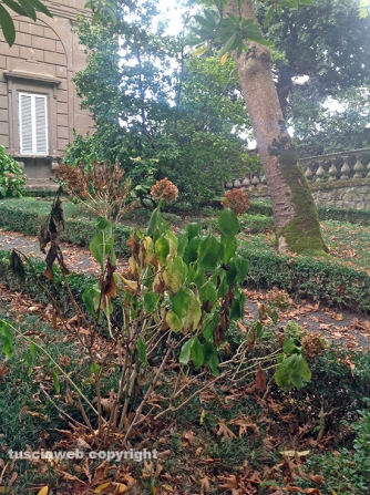 Villa Lante sporca e malridotta