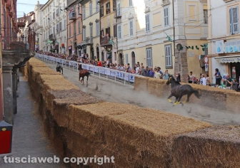 Ronciglione - Corse a vuoto, vince Fontana Grande con Ninfa da Clodia