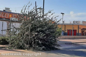Tarquinia - Violenta mareggiata e forte vento