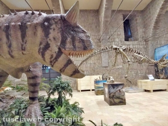 Viterbo - La mostra sui dinosauri a palazzo dei papi