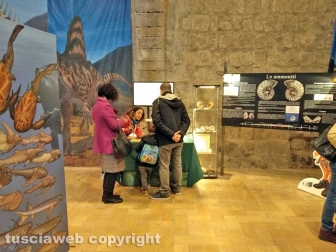 Viterbo - La mostra sui dinosauri a palazzo dei papi