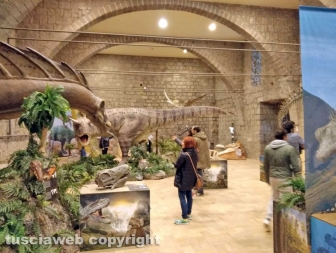 Viterbo - La mostra sui dinosauri a palazzo dei papi