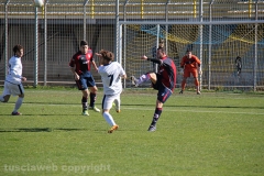Viterbese - Ladispoli