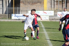 Viterbese - Ladispoli