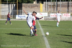 Viterbese - Ladispoli