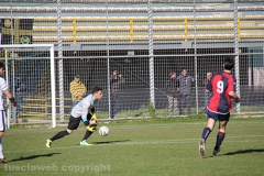 Viterbese - Ladispoli