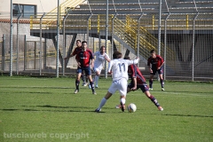 Viterbese - Ladispoli