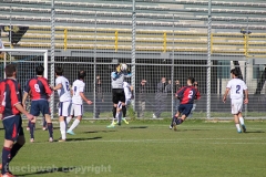 Viterbese - Ladispoli