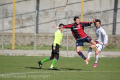 Viterbese - Ladispoli