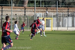 Viterbese - Ladispoli