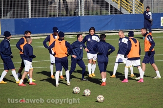 Viterbese - San Cesareo