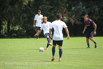 Viterbese - ViVa calcio