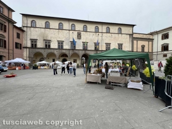 Viterbo - A spasso per Tuscia Fantasy, una manifestazione a macchia di leopardo
