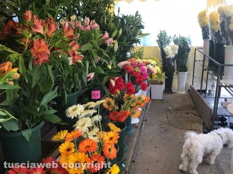Viterbo celebra il primo novembre