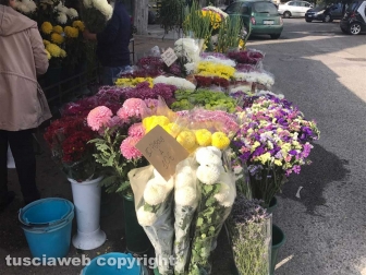 Viterbo celebra il primo novembre