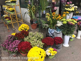 Viterbo celebra il primo novembre