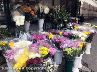 Viterbo celebra il primo novembre