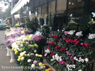 Viterbo celebra il primo novembre