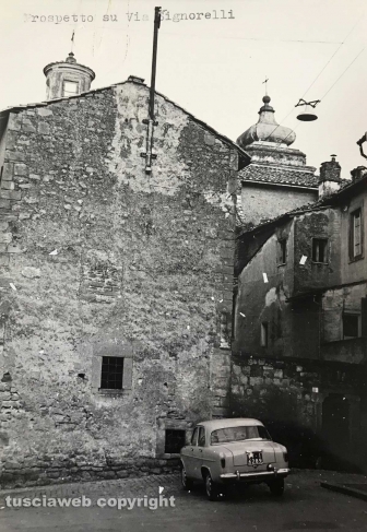 Viterbo - Via Signorelli