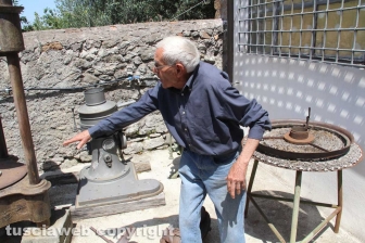 L'antico frantoio Matteucci
