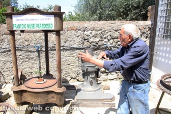 L'antico frantoio Matteucci