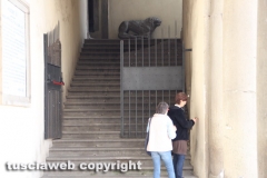 Viterbo fa il pieno di turisti