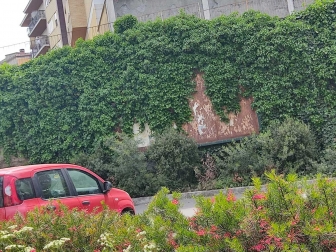 Viterbo - Gallery Obino