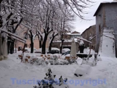 Viterbo - Il giorno dopo la bufera