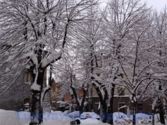 Viterbo - Il giorno dopo la bufera