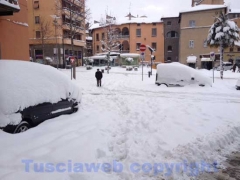 Viterbo - Il giorno dopo la bufera