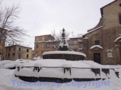 Viterbo - Il giorno dopo la bufera