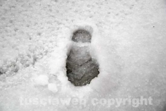 Viterbo imbiancata dalla grandine