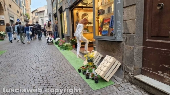 Viterbo in festa