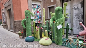 Viterbo in festa