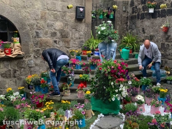 Viterbo in festa