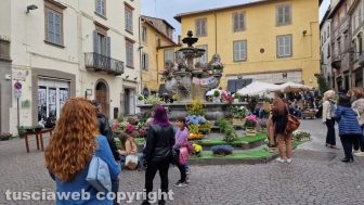 Viterbo in festa