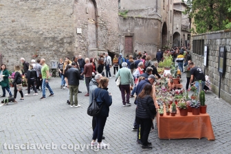 Viterbo in festa nella giornata di domenica 30 aprile