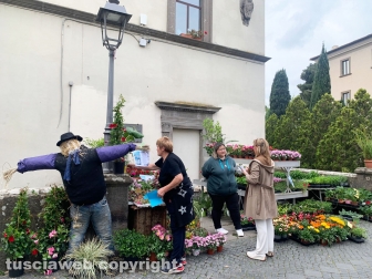Viterbo in festa nella giornata di domenica 30 aprile
