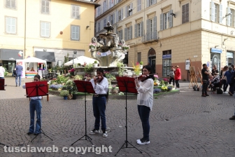 Viterbo in festa