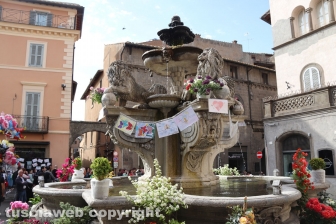 Viterbo in festa