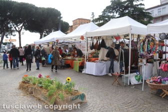 Viterbo in festa