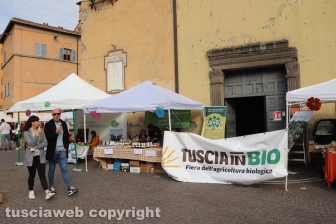 Viterbo in festa
