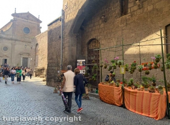Viterbo in festa
