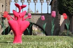 Viterbo in fiore