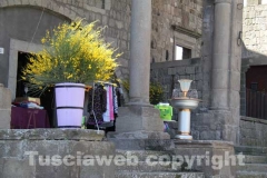 Viterbo in fiore