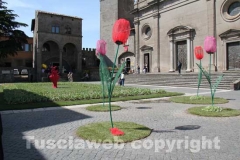 Viterbo in fiore