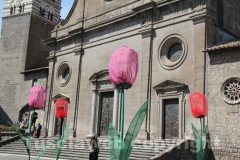 Viterbo in fiore