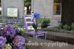 Viterbo in fiore